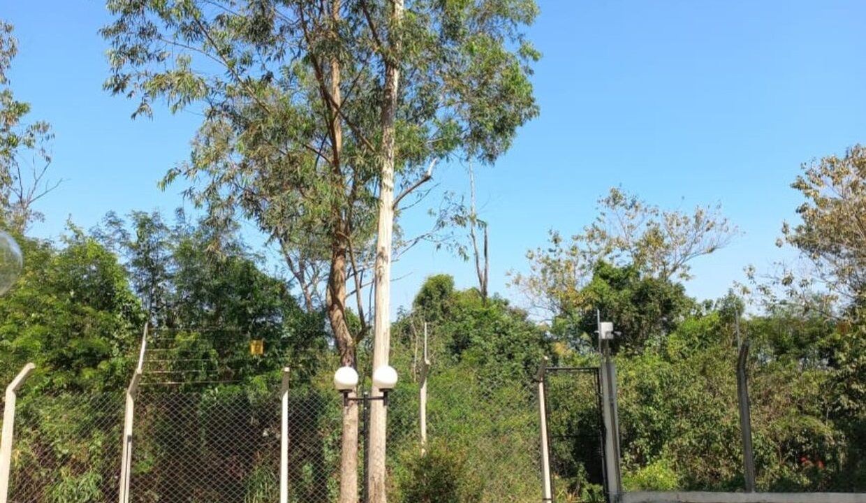 WhatsApp Image 2025-10-10 at 15.10.18 (2)