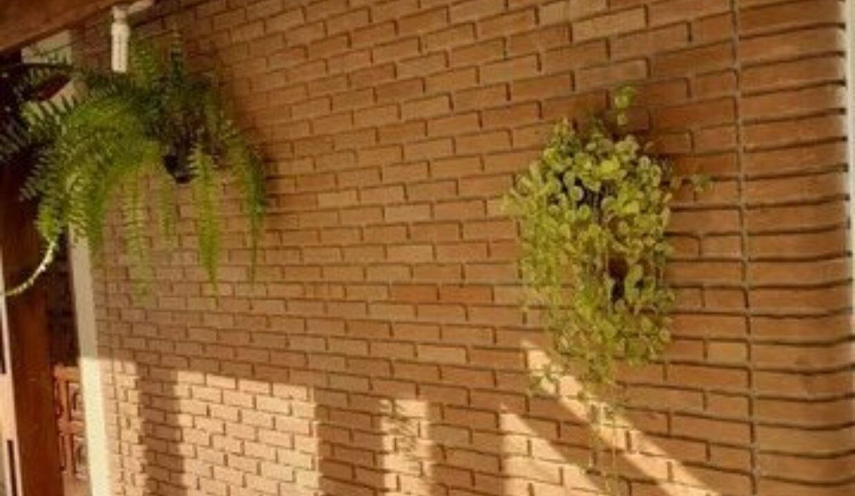 WhatsApp Image 2025-10-16 at 14.04.06 (10)