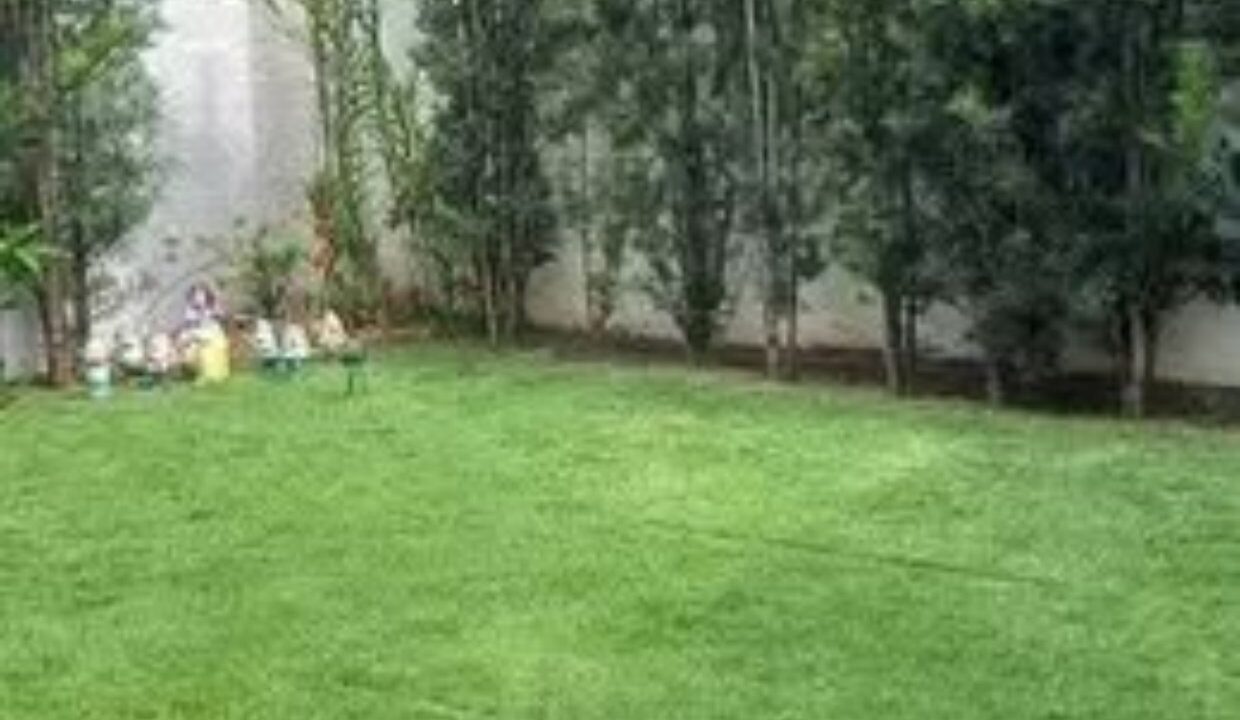 WhatsApp Image 2025-10-16 at 15.40.44 (1)