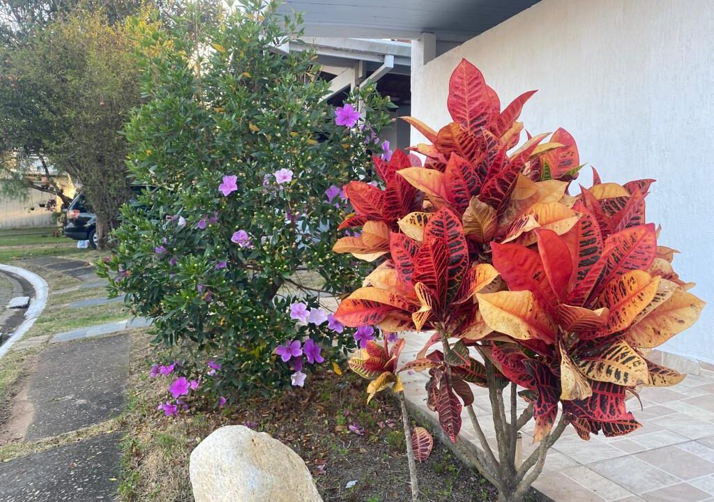 WhatsApp Image 2025-10-20 at 10.10.39 (6)